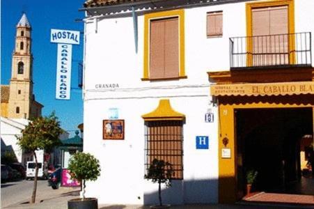 Hostal El Caballo Blanco Οσούνα Εξωτερικό φωτογραφία